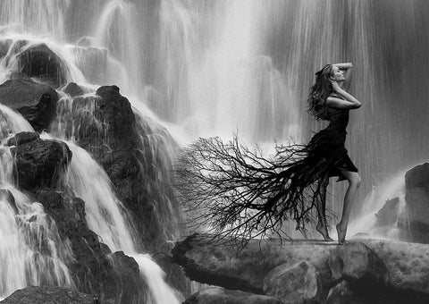 Natures Beauty Black Ornate Wood Framed Art Print with Double Matting by Lauren, Julian