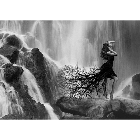 Natures Beauty White Modern Wood Framed Art Print by Lauren, Julian