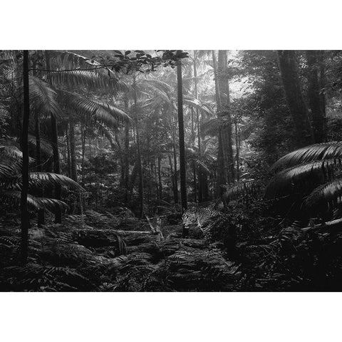 In the Jungle Gold Ornate Wood Framed Art Print with Double Matting by Pangea Images