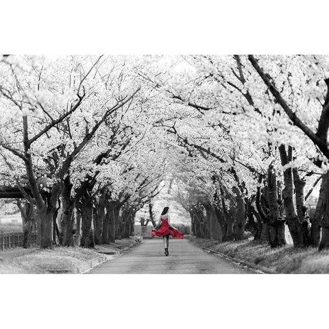 Sakura Girl Black Modern Wood Framed Art Print with Double Matting by Haute Photo Collection