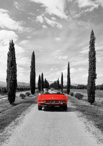 Sportscar in Tuscany (BW) Black Ornate Wood Framed Art Print with Double Matting by Gasoline Images