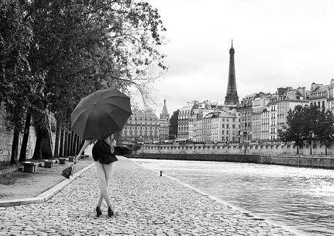 Quai de la Seine (BW) Black Ornate Wood Framed Art Print with Double Matting by Lauren, Julian