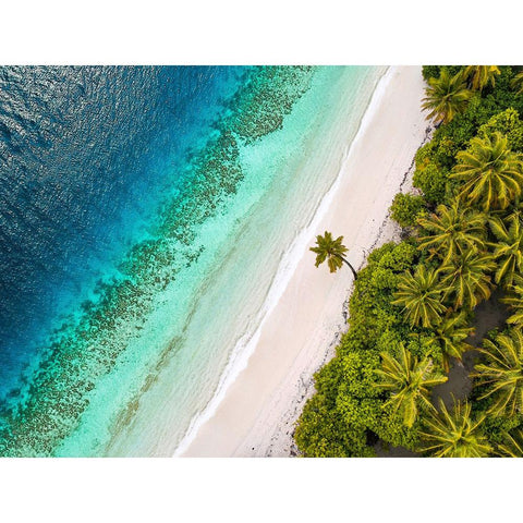Tropical Beach, Aerial View Gold Ornate Wood Framed Art Print with Double Matting by Pangea Images