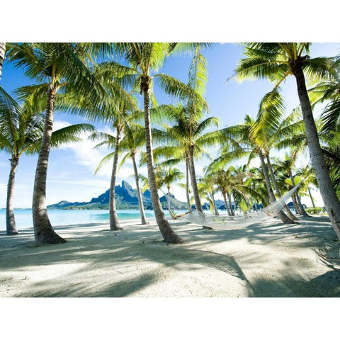 Hammock at Bora Bora Tahiti Black Modern Wood Framed Art Print with Double Matting by Anonymous
