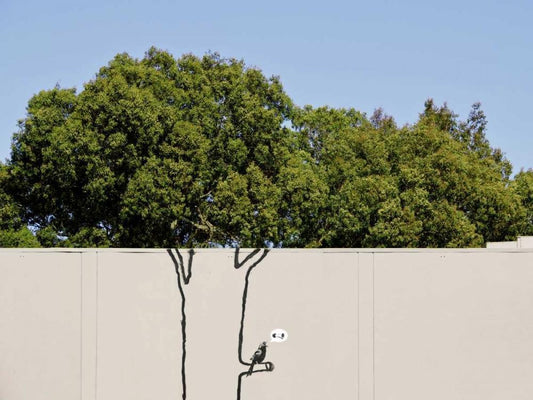 Image Only
