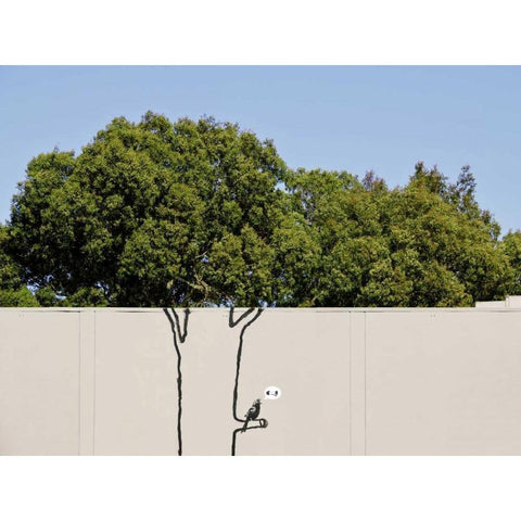 Near 14th Street, San Francisco (graffiti attributed to Banksy) White Modern Wood Framed Art Print by Anonymous (attributed to Banksy)