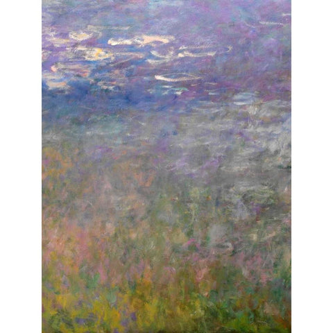 Water Lilies II White Modern Wood Framed Art Print by Monet, Claude
