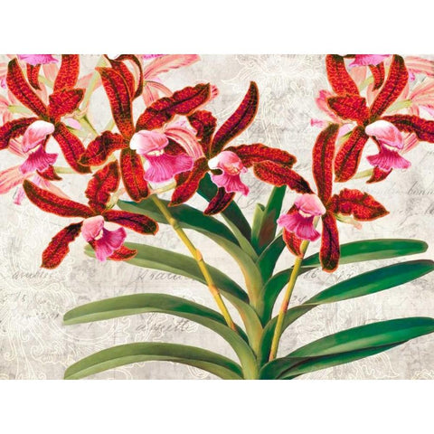 Botanique Moderne I White Modern Wood Framed Art Print by Dellal, Remy