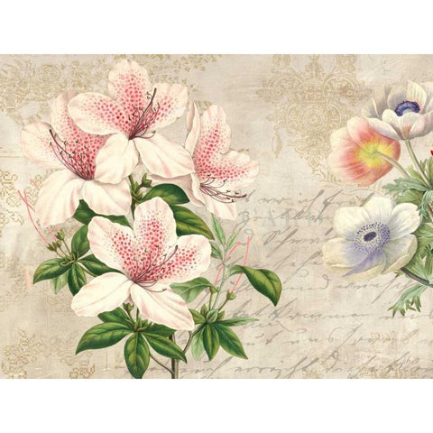 Botanique Moderne II Gold Ornate Wood Framed Art Print with Double Matting by Dellal, Remy