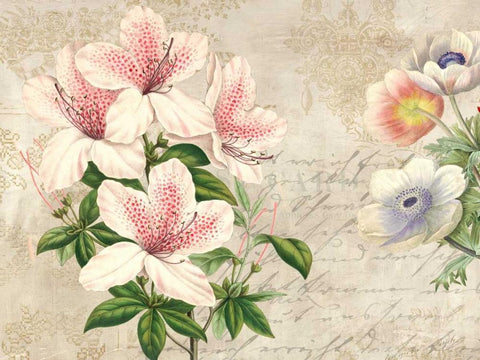 Botanique Moderne II Black Ornate Wood Framed Art Print with Double Matting by Dellal, Remy