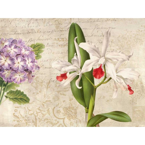 Botanique Moderne III White Modern Wood Framed Art Print by Dellal, Remy