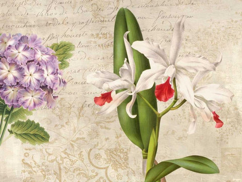 Botanique Moderne III White Modern Wood Framed Art Print with Double Matting by Dellal, Remy