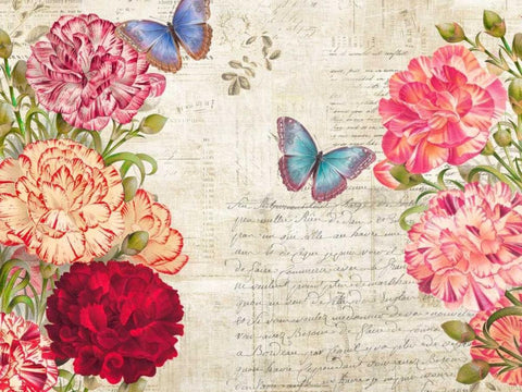 Botanique Moderne IV White Modern Wood Framed Art Print with Double Matting by Dellal, Remy