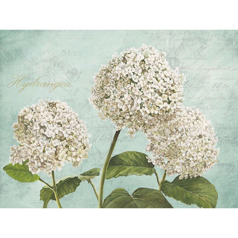 Hydrangeas I (Aqua) Gold Ornate Wood Framed Art Print with Double Matting by Remy, Dellal