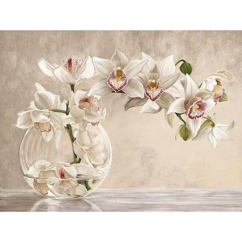 Orchid Vase Black Modern Wood Framed Art Print with Double Matting by Remy, Dellal
