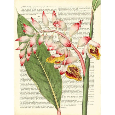 Vintage Botany II Black Modern Wood Framed Art Print by Dellal, Remy