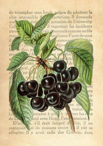 Cherries- After J. Wright Black Ornate Wood Framed Art Print with Double Matting by Dellal, Remy