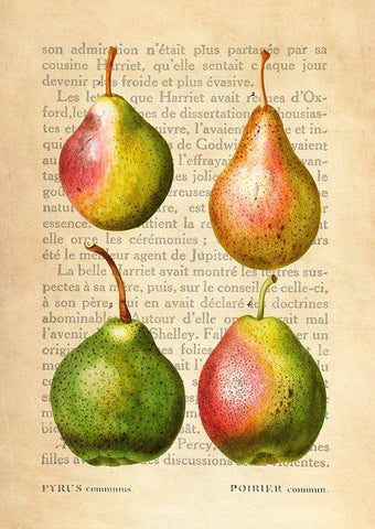 Pears- After Redoute Black Ornate Wood Framed Art Print with Double Matting by Dellal, Remy