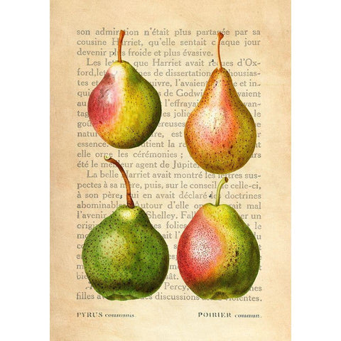 Pears- After Redoute Gold Ornate Wood Framed Art Print with Double Matting by Dellal, Remy