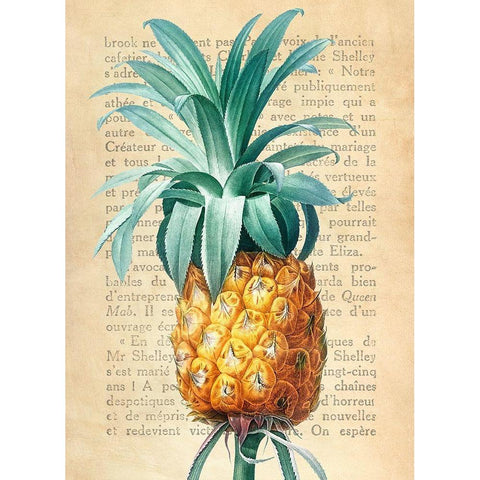 Pineapple- After Redoute Gold Ornate Wood Framed Art Print with Double Matting by Dellal, Remy