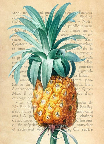 Pineapple- After Redoute Black Ornate Wood Framed Art Print with Double Matting by Dellal, Remy