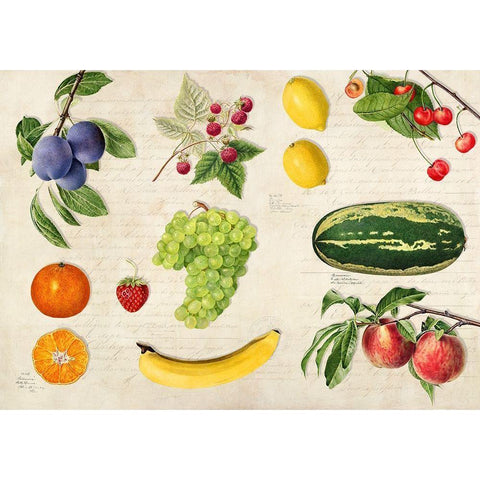 Fruits du Monde Black Modern Wood Framed Art Print with Double Matting by Dellal, Remy