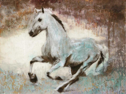 White Star Black Ornate Wood Framed Art Print with Double Matting by Moschetta, Dario