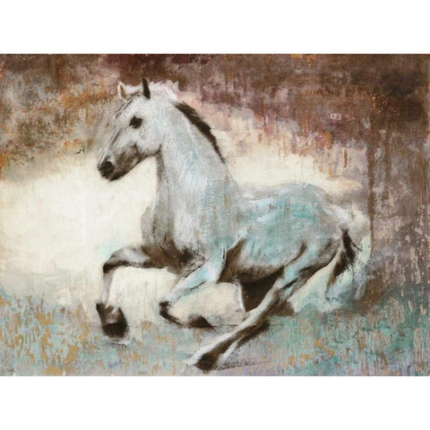 White Star Black Modern Wood Framed Art Print with Double Matting by Moschetta, Dario