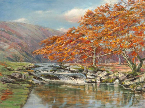 Ruscello silvestre White Modern Wood Framed Art Print with Double Matting by Cerana, Francesco