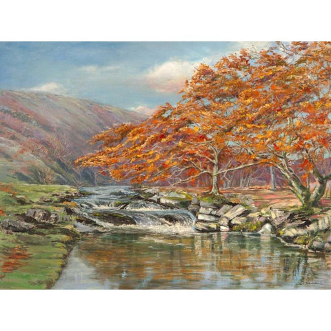 Ruscello silvestre White Modern Wood Framed Art Print by Cerana, Francesco