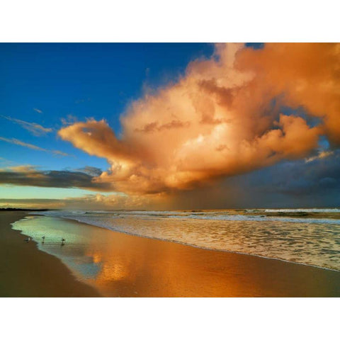 Sunset on the ocean, New South Wales, Australia Black Modern Wood Framed Art Print with Double Matting by Krahmer, Frank
