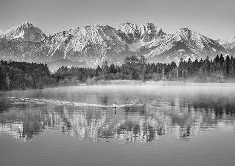 Allgaeu Alps and Hopfensee lake, Bavaria, Germany (BW) Black Ornate Wood Framed Art Print with Double Matting by Frank, Krahmer