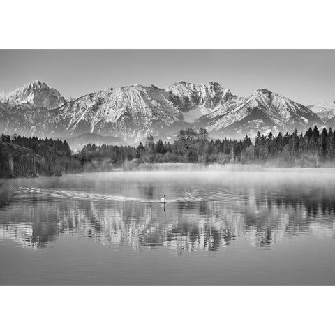 Allgaeu Alps and Hopfensee lake, Bavaria, Germany (BW) Gold Ornate Wood Framed Art Print with Double Matting by Frank, Krahmer