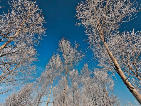 Sottozero Black Ornate Wood Framed Art Print with Double Matting by Ferrua, Fulvio