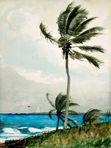 Palm Tree, Nassau White Modern Wood Framed Art Print with Double Matting by Homer, Winslow