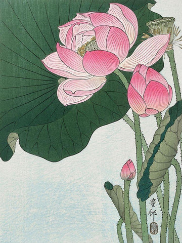 Blooming lotus flowers White Modern Wood Framed Art Print with Double Matting by Koson, Ohara