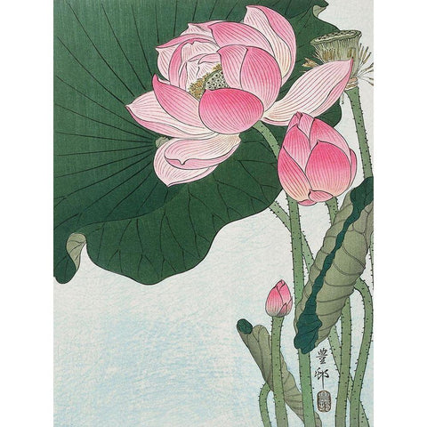 Blooming lotus flowers Gold Ornate Wood Framed Art Print with Double Matting by Koson, Ohara