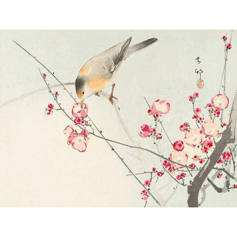 Songbird on blossom Branch Black Modern Wood Framed Art Print by Koson, Ohara