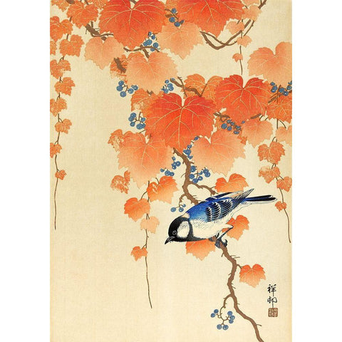 Great tit on paulownia branch Black Modern Wood Framed Art Print with Double Matting by Koson, Ohara