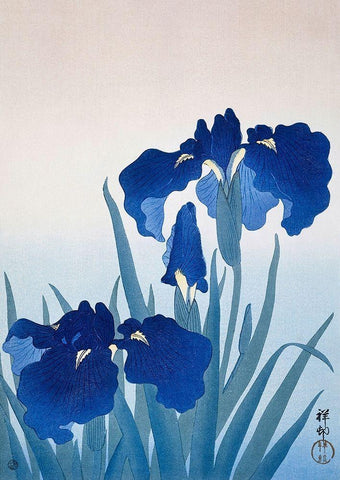 Iris flowers White Modern Wood Framed Art Print with Double Matting by Koson, Ohara