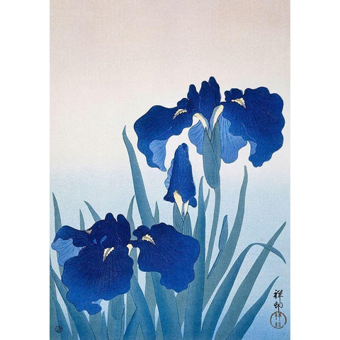 Iris flowers Gold Ornate Wood Framed Art Print with Double Matting by Koson, Ohara