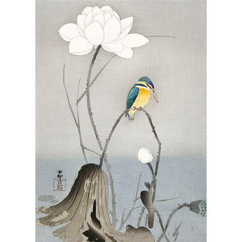 Kingfisher with Lotus Flower Black Modern Wood Framed Art Print by Koson, Ohara