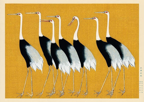 Flock of Japanese red crown cranes Black Ornate Wood Framed Art Print with Double Matting by Korin, Ogata