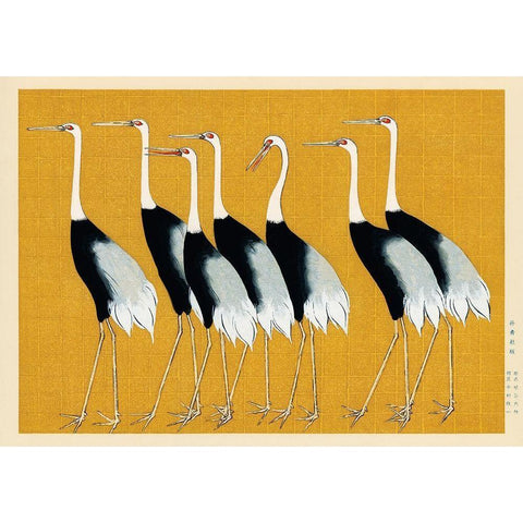 Flock of Japanese red crown cranes Black Modern Wood Framed Art Print with Double Matting by Korin, Ogata