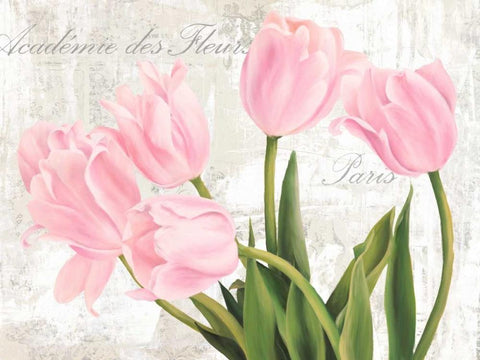 Academie des Fleurs Black Ornate Wood Framed Art Print with Double Matting by Thomlinson, Jenny