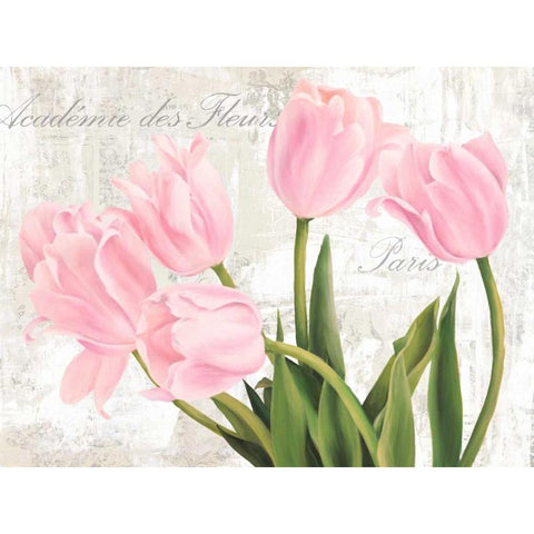 Academie des Fleurs Black Modern Wood Framed Art Print with Double Matting by Thomlinson, Jenny