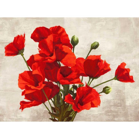 Bouquet of Poppies White Modern Wood Framed Art Print by Thomlinson, Jenny
