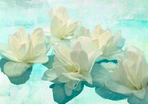 Nympheas Black Ornate Wood Framed Art Print with Double Matting by Parr, Kelly