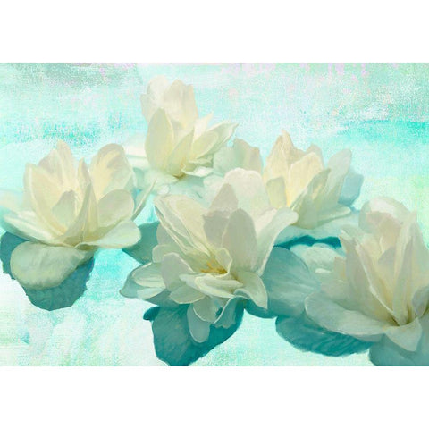 Nympheas White Modern Wood Framed Art Print by Parr, Kelly