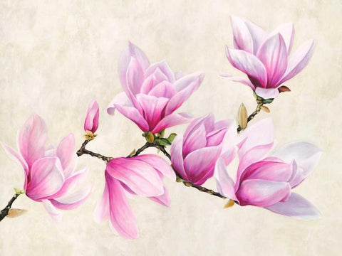 Ramo di magnolia White Modern Wood Framed Art Print with Double Matting by Villa, Luca